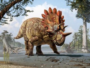 This is an artistic life reconstruction of the new horned dinosaur Regaliceratops peterhewsi in the palaeoenvironment of the Late Cretaceous of Alberta, Canada. Credit: Art by Julius T. Csotonyi. Courtesy of Royal Tyrrell Museum, Drumheller, Alberta.
